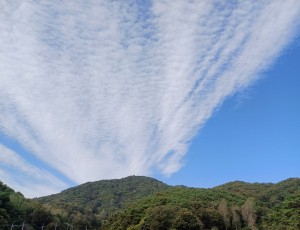 가을 산책길에 특이해서 찍은 구름사진