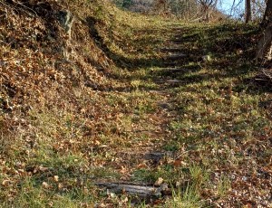 높은 곳을 향하여... 낙엽이 쌓여 있는 산…